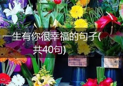 一生有你很幸福的句子(共40句)