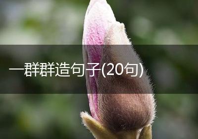 一群群造句子(20句)