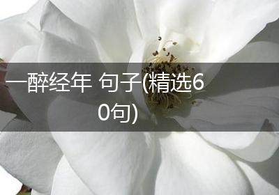 一醉经年 句子(精选60句)