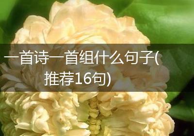 一首诗一首组什么句子(推荐16句)