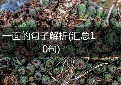 一面的句子解析(汇总10句)