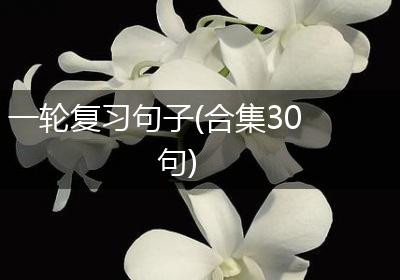 一轮复习句子(合集30句)