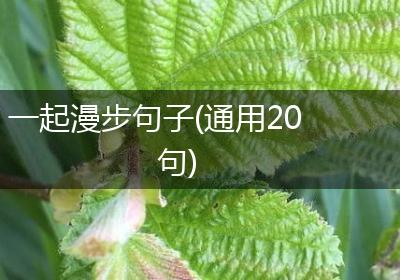 一起漫步句子(通用20句)