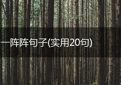 一阵阵句子(实用20句)