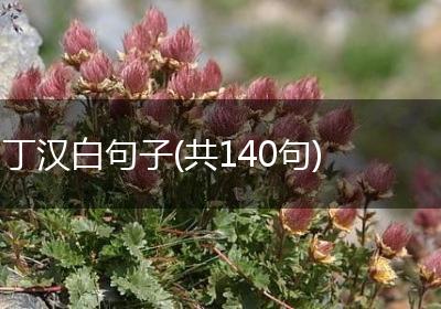 丁汉白句子(共140句)