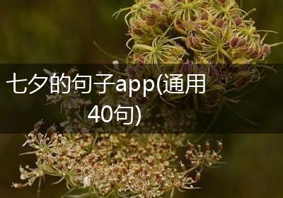 七夕的句子app(通用40句)