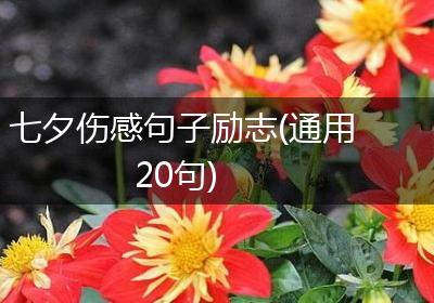 七夕伤感句子励志(通用20句)