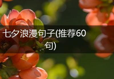 七夕浪漫句子(推荐60句)