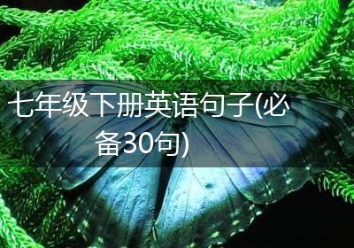七年级下册英语句子(必备30句)
