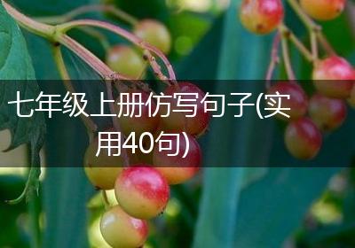 七年级上册仿写句子(实用40句)