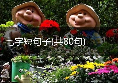 七字短句子(共80句)