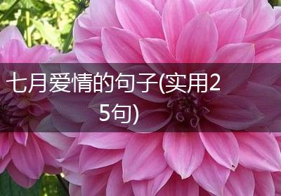 七月爱情的句子(实用25句)