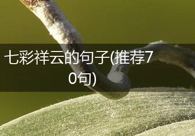 七彩祥云的句子(推荐70句)