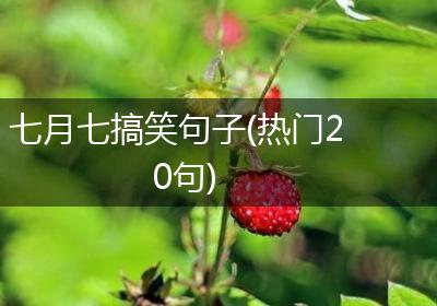 七月七搞笑句子(热门20句)