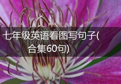 七年级英语看图写句子(合集60句)