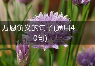 万恩负义的句子(通用40句)