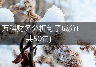 万科财务分析句子成分(共50句)