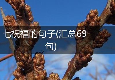 七祝福的句子(汇总69句)