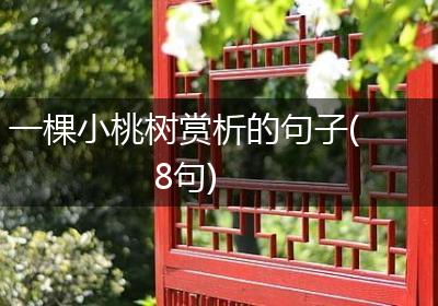 一棵小桃树赏析的句子(8句)