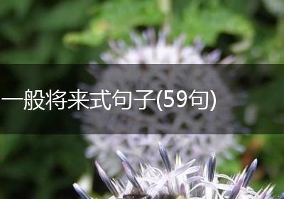 一般将来式句子(59句)