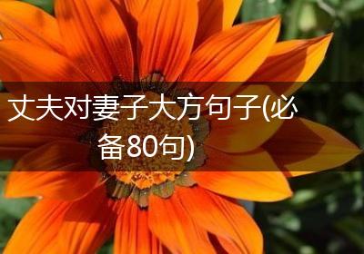 丈夫对妻子大方句子(必备80句)