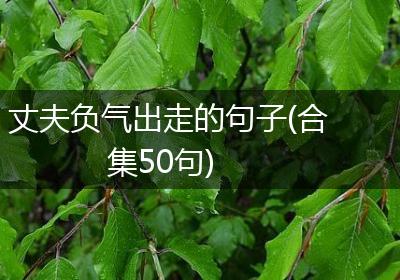 丈夫负气出走的句子(合集50句)