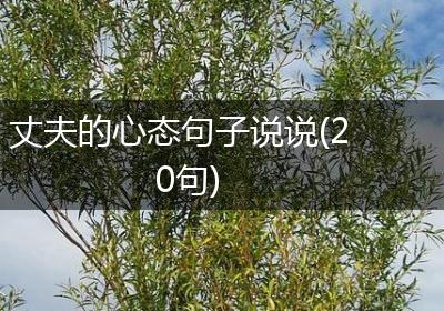 丈夫的心态句子说说(20句)