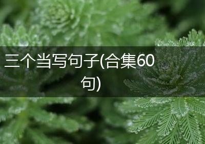 三个当写句子(合集60句)