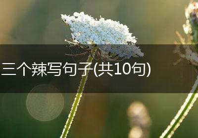 三个辣写句子(共10句)