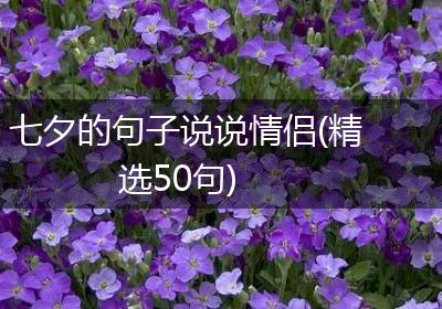 七夕的句子说说情侣(精选50句)