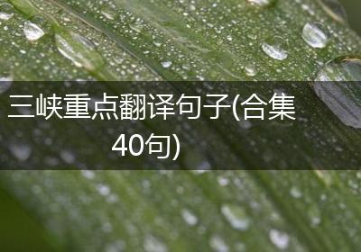 三峡重点翻译句子(合集40句)