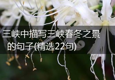 三峡中描写三峡春冬之景的句子(精选22句)