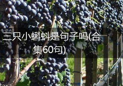 三只小蝌蚪是句子吗(合集60句)