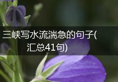 三峡写水流湍急的句子(汇总41句)