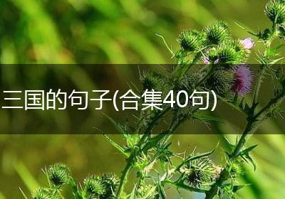 三国的句子(合集40句)