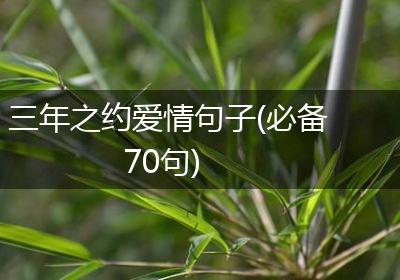 三年之约爱情句子(必备70句)