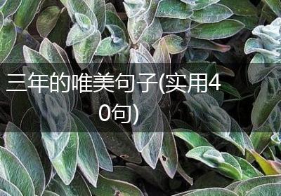 三年的唯美句子(实用40句)