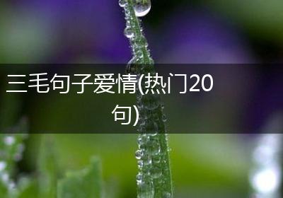 三毛句子爱情(热门20句)