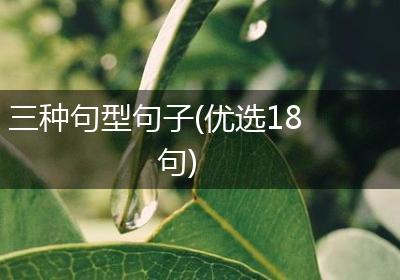 三种句型句子(优选18句)