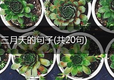 三月天的句子(共20句)