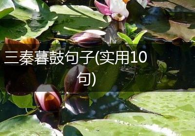 三秦暮鼓句子(实用10句)