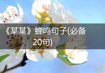 《某某》蝉鸣句子(必备20句)