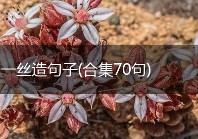 一丝造句子(合集70句)