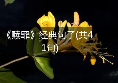 《赎罪》经典句子(共41句)