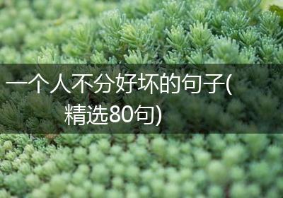 一个人不分好坏的句子(精选80句)
