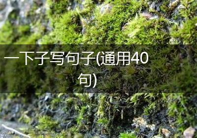 一下子写句子(通用40句)