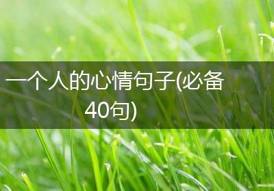 一个人的心情句子(必备40句)