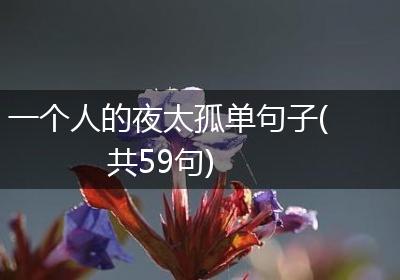 一个人的夜太孤单句子(共59句)