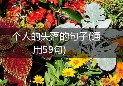 一个人的失落的句子(通用59句)