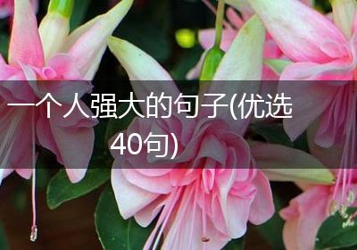 一个人强大的句子(优选40句)